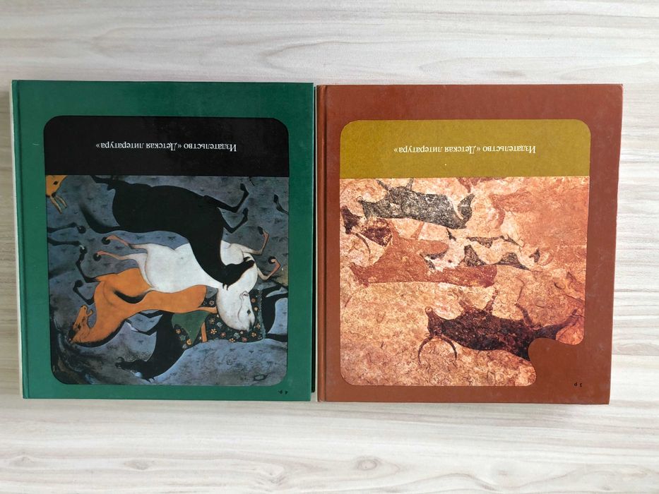 Продавам 2 книги свързани с история на руски език.