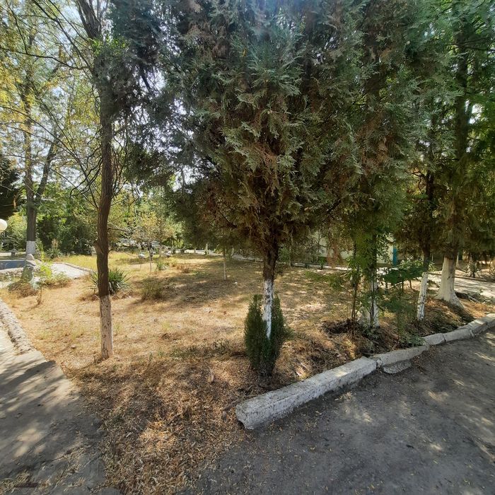 ТашМореда 8Гектар ер сотилади