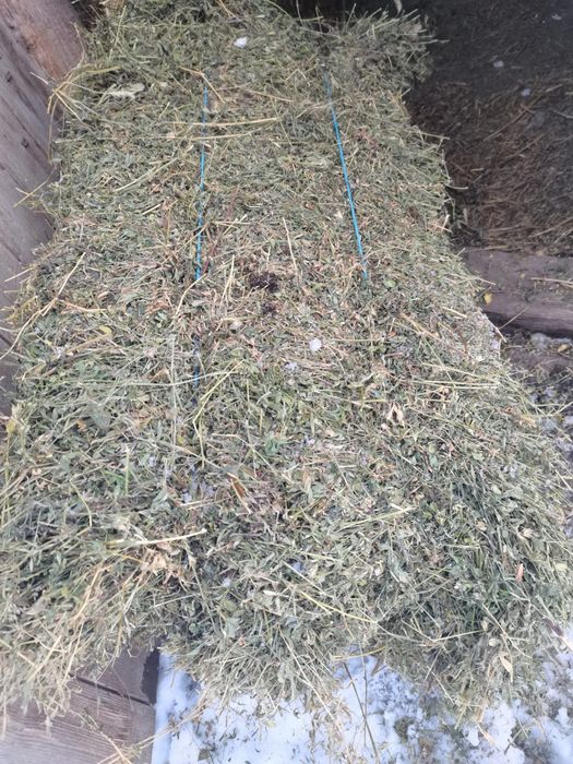 Baloți de lucernă dreptunghiulari