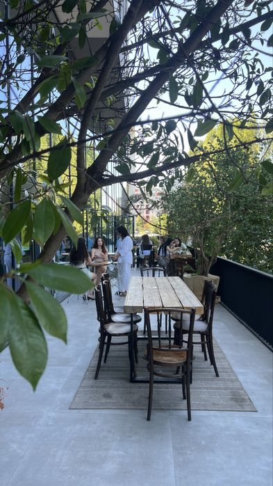 Vindem afacerea Luna Bistro Avi Garden