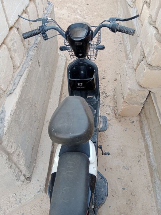 Мопед гол выпуска 2023