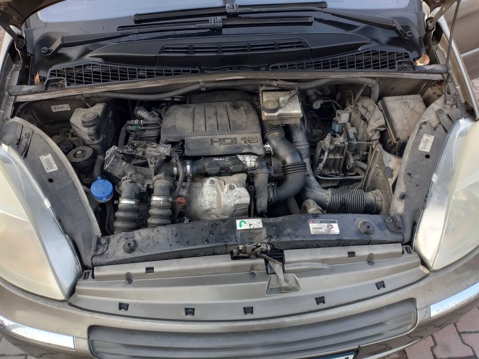 xsara   picasso