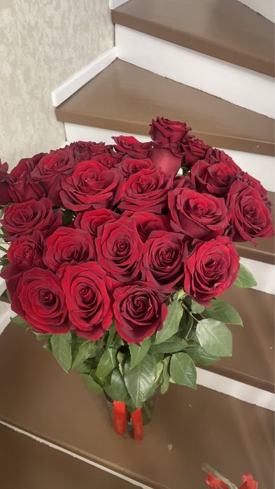 Цветы. Голландские розы