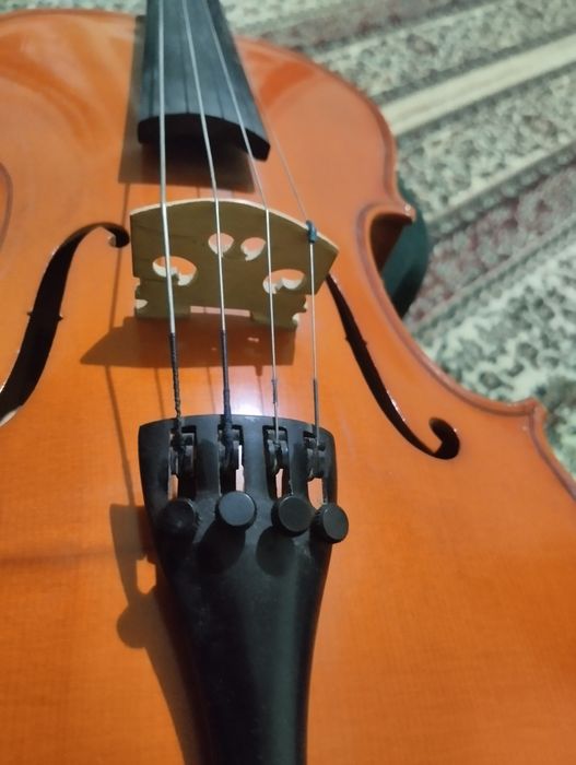 Skripka alt sotiladi xolati zor