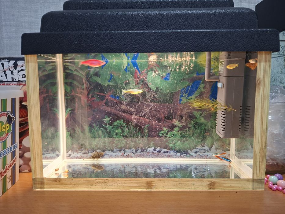 Аквариум для рыбок