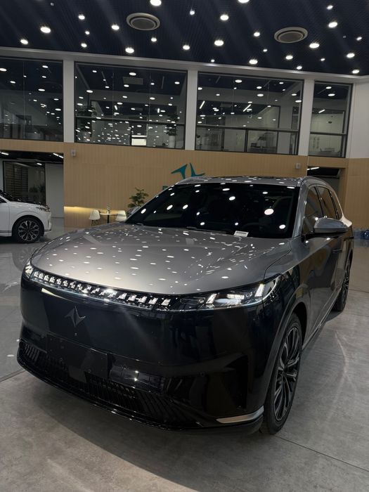 2026 Dongfeng EP 008 - STARLIGHT MOTOR