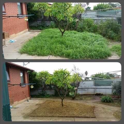 Tuns iarbă înaltă și boscheți – Motocoasă - Disponibil în weekend