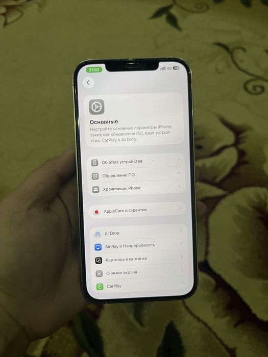 Apple 12 pro max