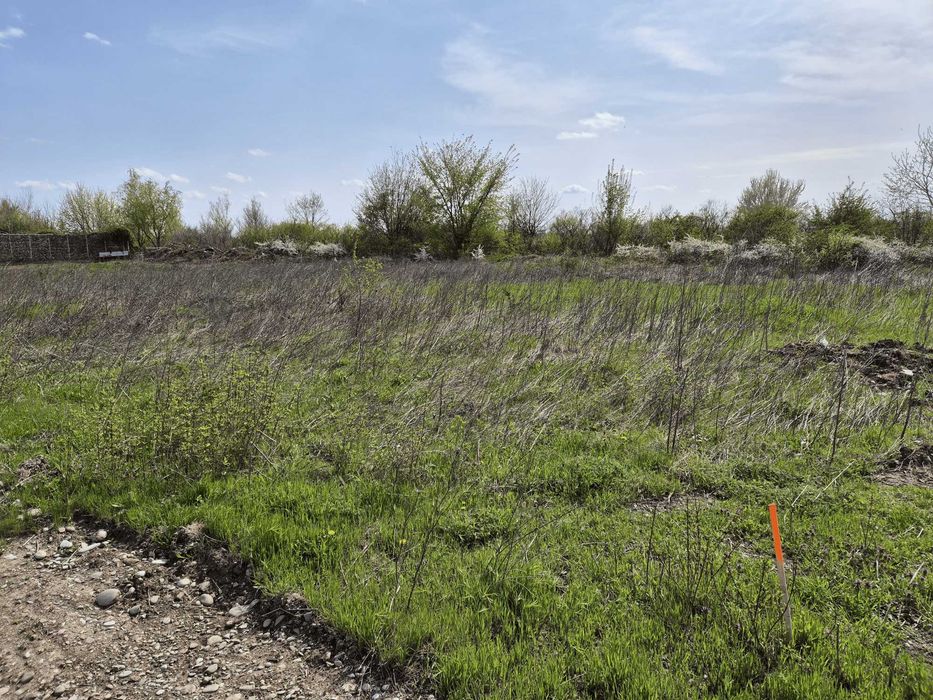 Teren intravilan 741 mp – Casa cu Tei 2, Cocani / Crevedia