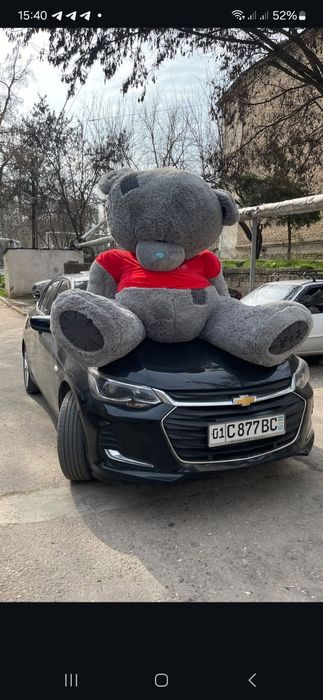 Teddi Тедди yumshoq oyinchiqlar