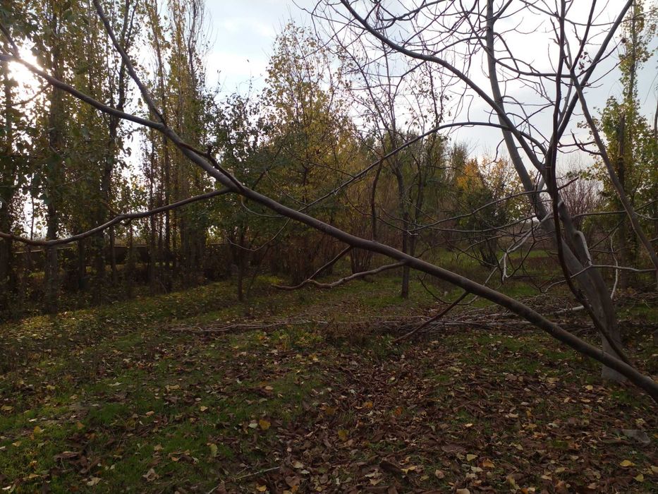 Uchaska sotiladi 25 sotix