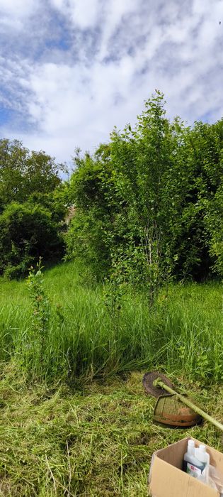 Косене Враца евтини цени.