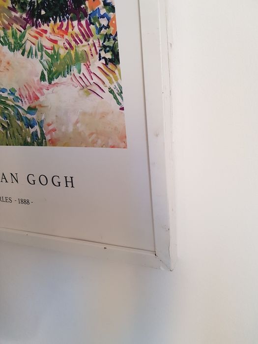 Poster Vincent van Gogh – Garden at Arles (1888) în ramă albă