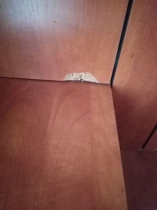 Мебель для прихожей