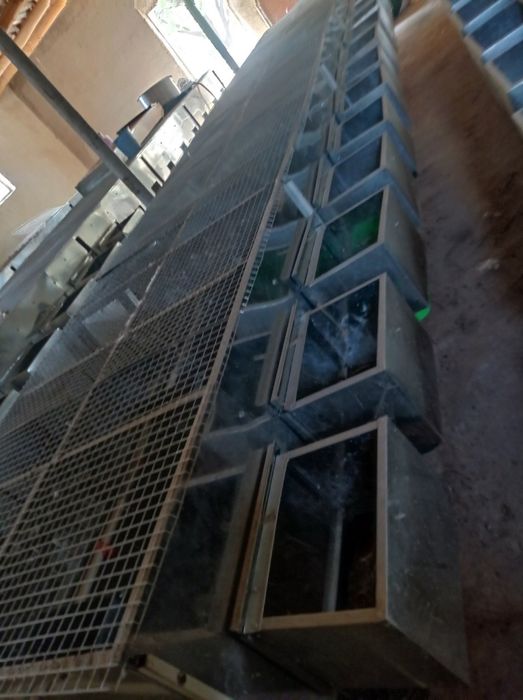 Ona quyonlar uchun mahsus kataklar sotiladi