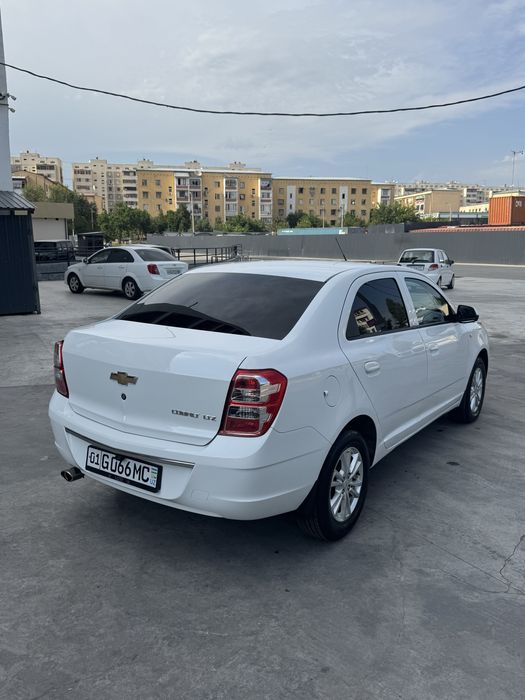 Cobalt 2022 Arenda