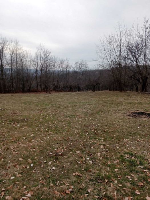 Vand Teren intravilan sat Tanasesti - Horezu (Valcea)