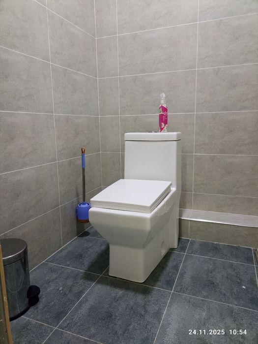 Olmazor Qoraqamish 1/2