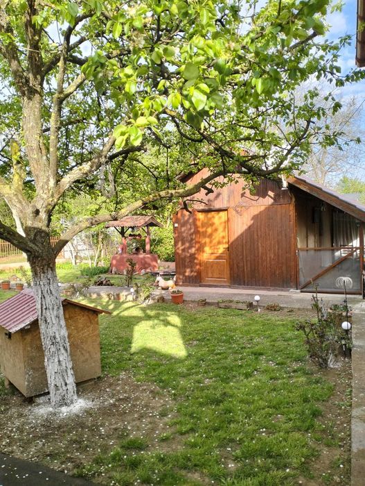 Vand casa cu teren in Branisca