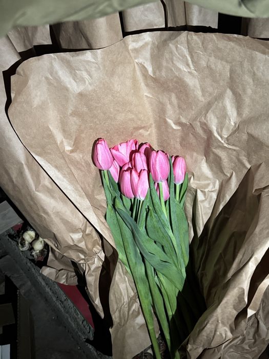 тюьпаны оптом и розницу