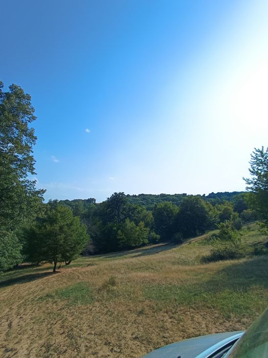 Teren  cu schiță topografica