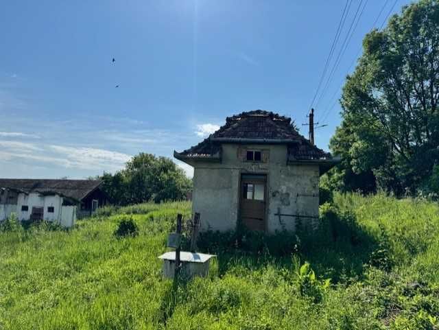 Casa la tara intabulata 14 ari cu gaz, trifazic plus gradina 15 ari