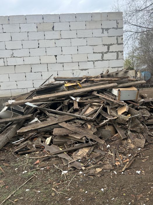 Дерево ағаш тегін