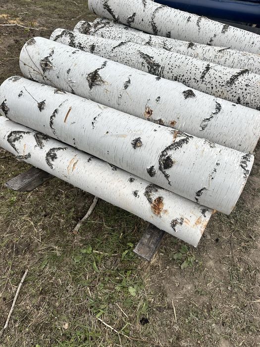 Продам бревно кругляк береза