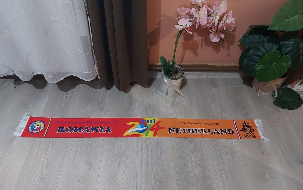 Fulare Poli Timisoara si Romania-Olanda 2014