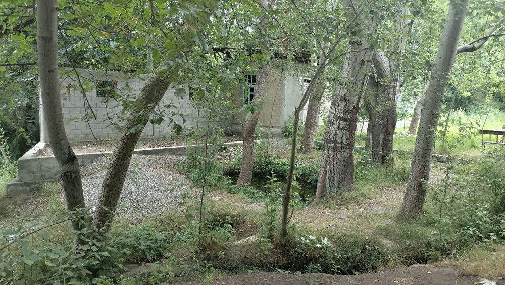 Hovli uy, Dacha/ Ховли үй, Дача