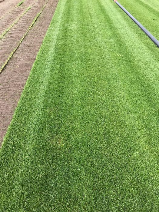 Rulouri gazon natural montaj rapid