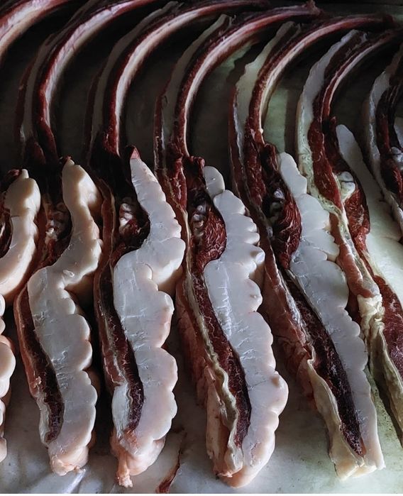 Продам конина с откорма