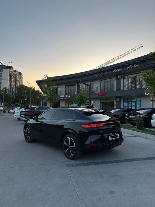 Byd song L 2024 yil