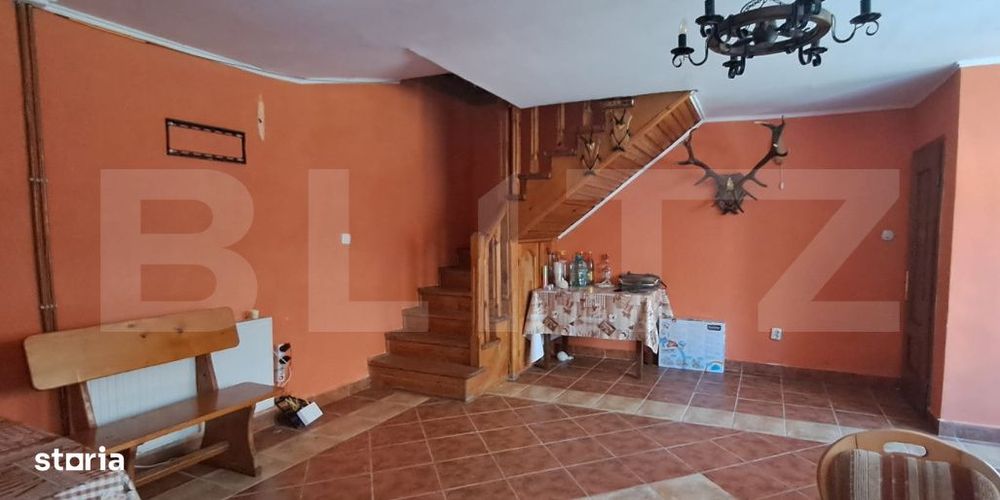 Pensiune + casa pe 5.500 mp, la poalele Muntilor Fagaras – Gura-Vaii