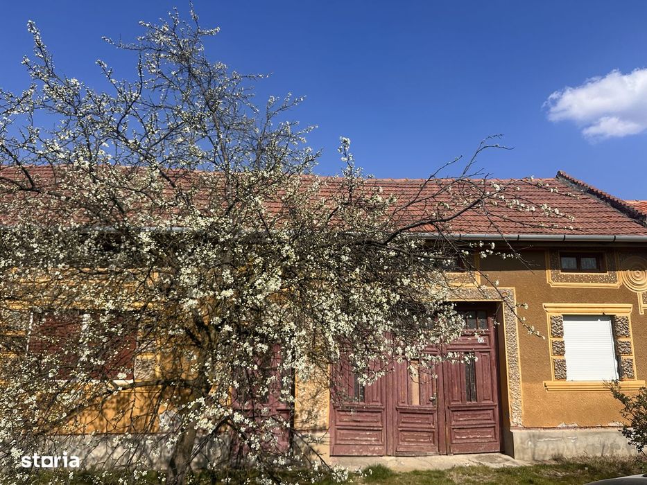 Casă veche cu potențial excepțional | Lugojel, lângă Lugoj