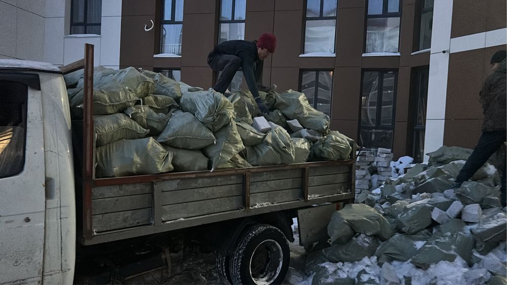 Мусыр шығару вывыз мусыр