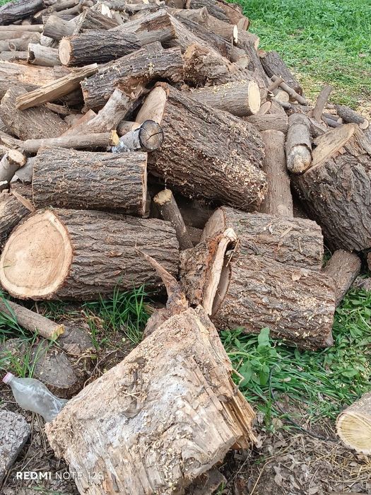 O'tinla bor sotiladi