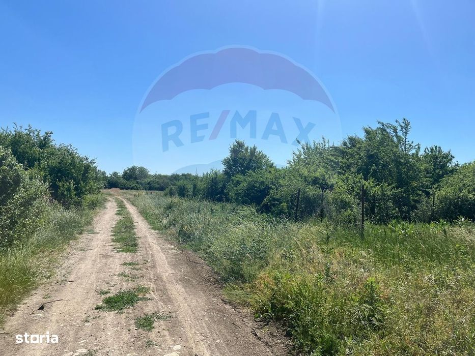 Teren intravilan 500mp | Kuncz, Timișoara | Oportunitate de Investiție