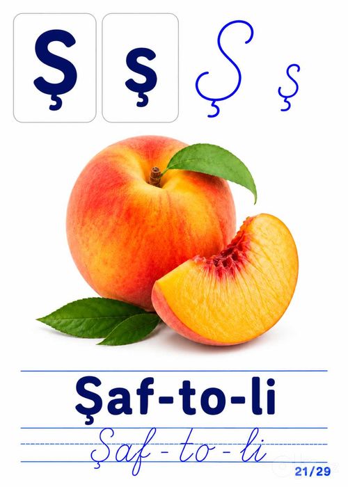 Yangi o'zbek alifbosi kartochkalari