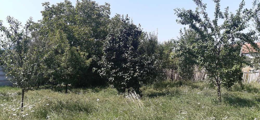 Parcela 946mp (teren total 1769mp), Str. Grigore Vieru, Alba Iulia