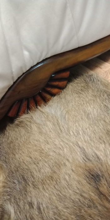 Продам шикарный кожаный диван