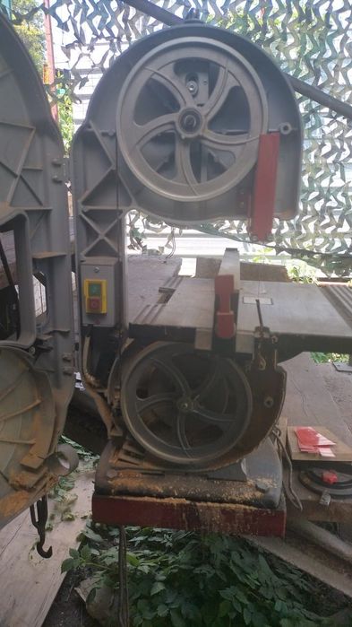 Зубр мясо резка.