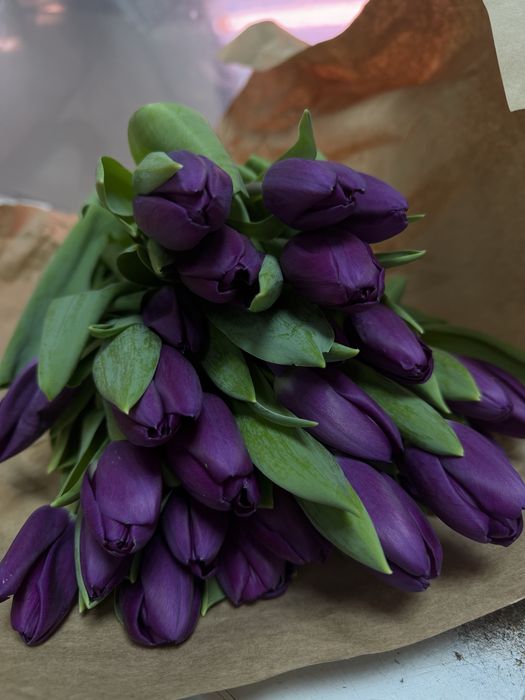 Тюльпаны 650 тенге