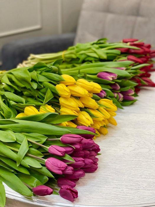 Тюльпаны оптом Астана