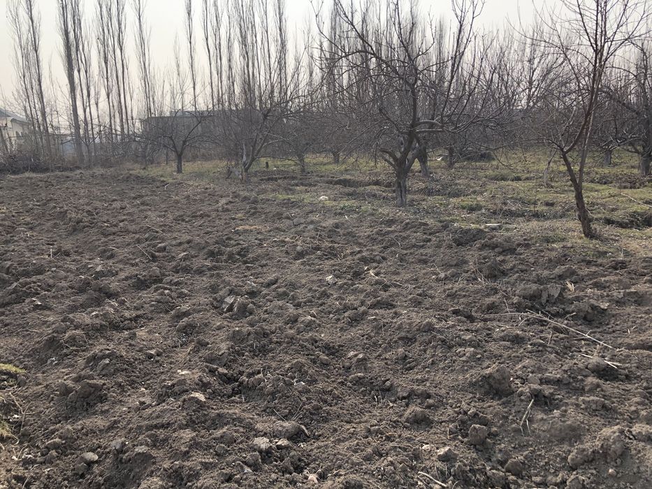 Земельный участок