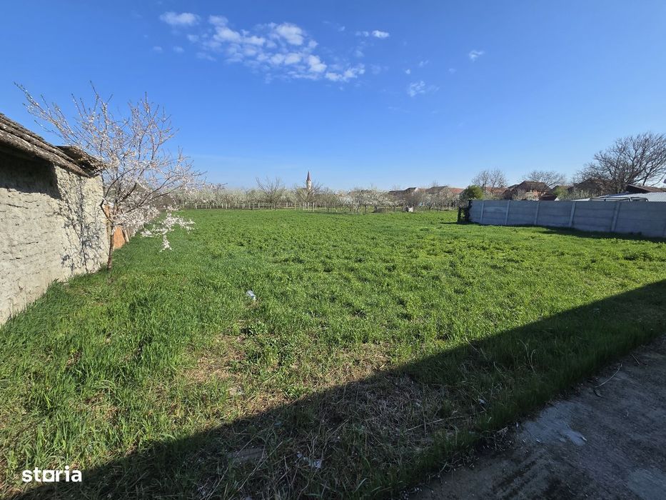Casa Mare cu Teren 1775 mp cu Potențial Economic