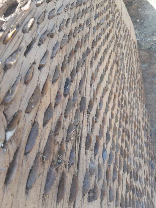 Диканя в автентичен вид