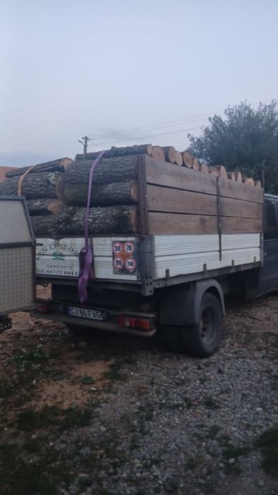 Stejar si carpen