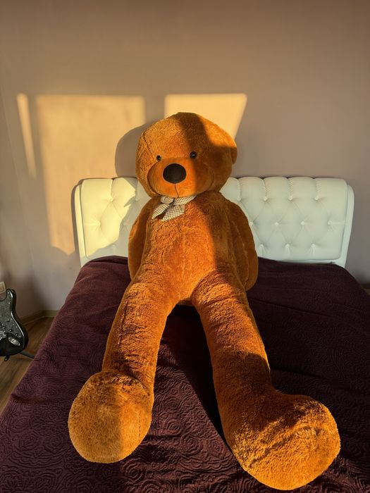 2 метровый медведь