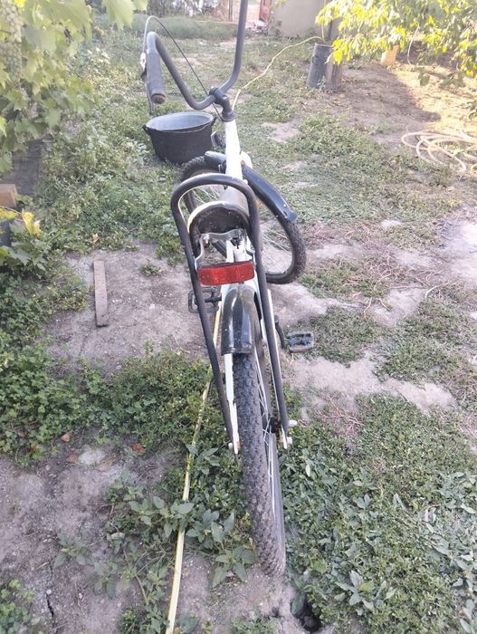Bicicleta Pegas Stradă 1